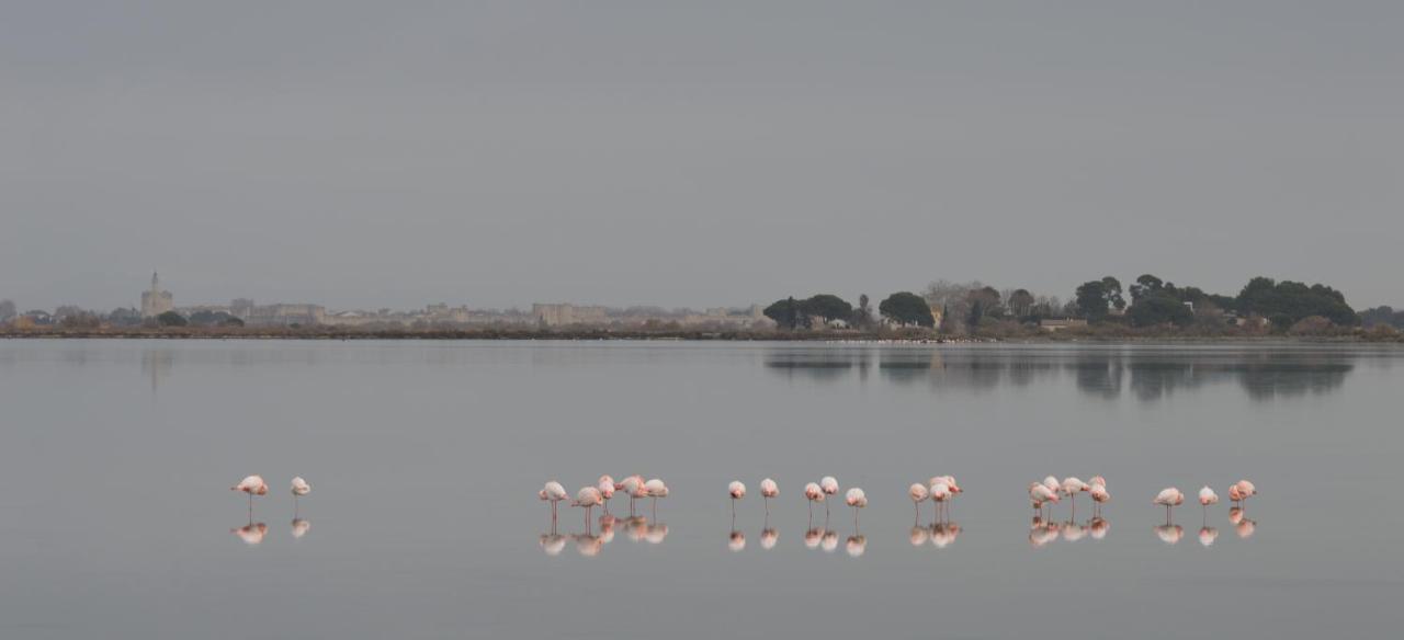Hotel Saint Louis Aigues-Mortes Dış mekan fotoğraf